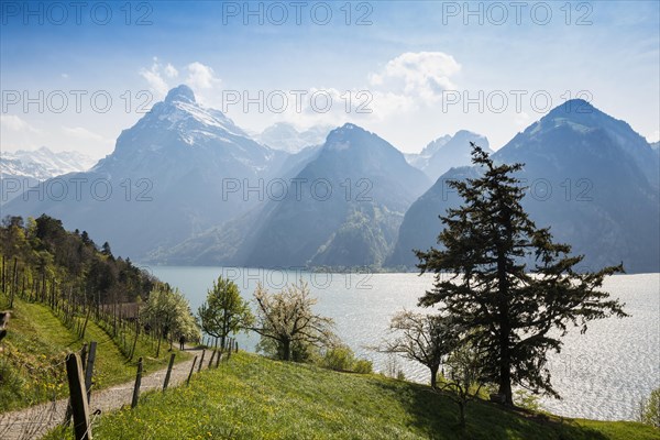 Panorama with lake and mountains