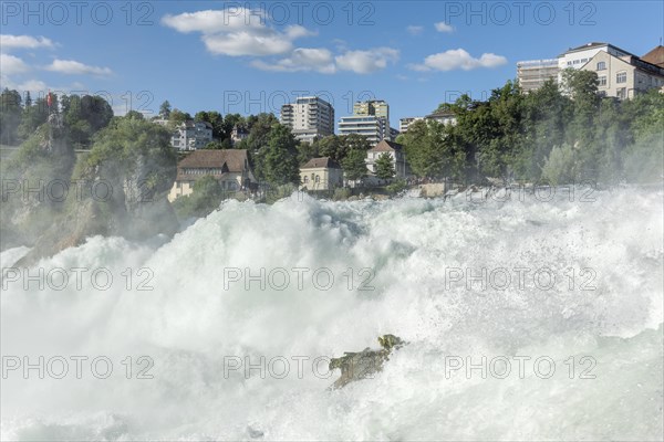Waterfall of Rhine Falls in spring