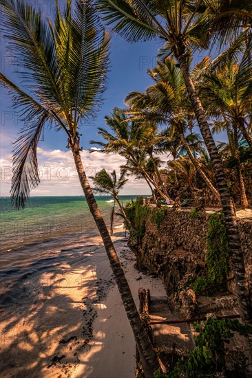 A view between palm trees and stairs to the beach and the sea. Sunset on the Indian Ocean