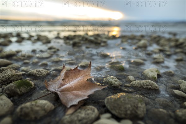 Sunrise on a wintry lake in bad weather