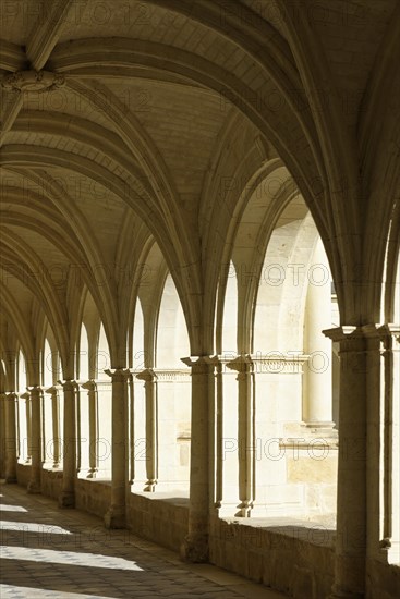 Abbaye Fontevraud