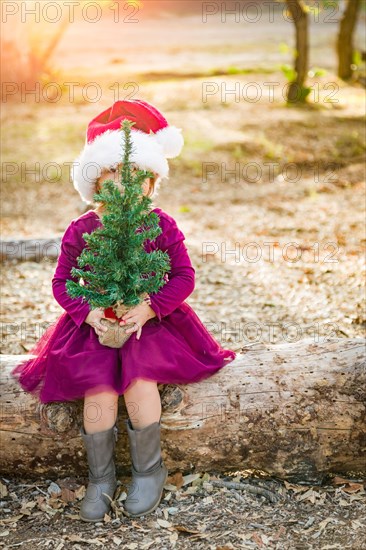 Cute mixed-race young baby girl having fun with santa hat and christmas tree outdoors on log