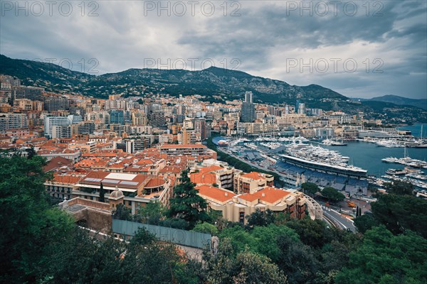 View of Monte Carlo