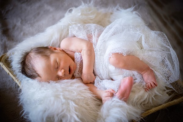 Cute newborn baby boy sleeping in the basket on fluffy blanket