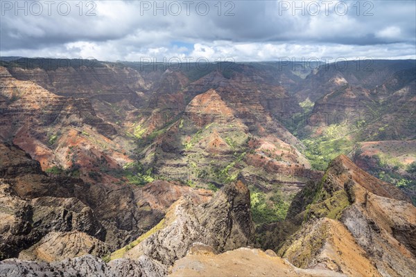 Waimea Canyon State Park