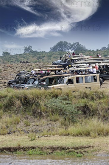 Safari cars on the Mara River with tourists waiting for gnu migration