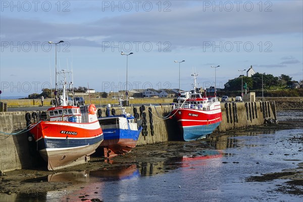 Fishing boat in Roscoff harbour at low tide
