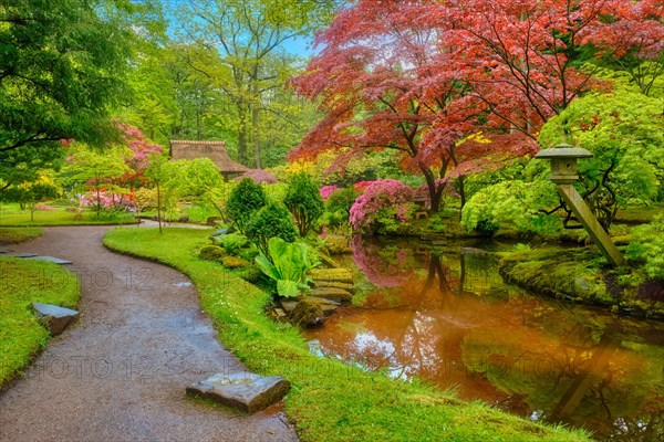 Little Japanese garden after rain