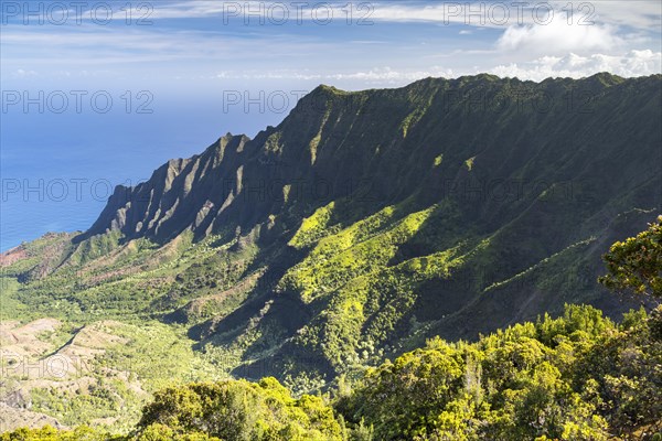 Blick vom Kalalau Lookout ins Kalalau Valley