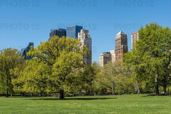 View from Central Park in Manhattan