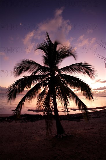 Sunset Caymans