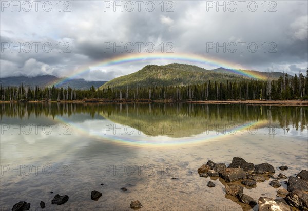 Rainbow in dark clouds over a forest