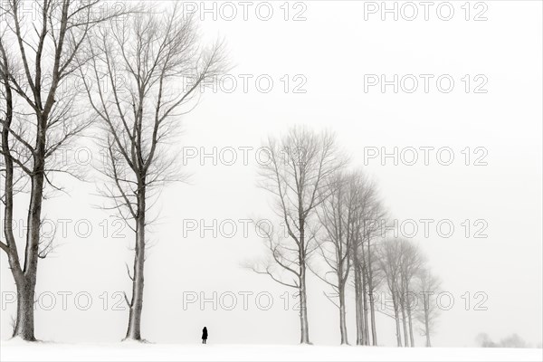 Einsame Frau laeuft in winterlicher Baum Allee