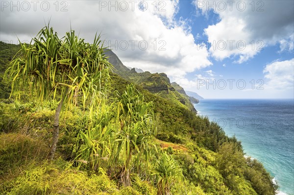 Blick vom Kalalau Trail auf die Na Pali Coast