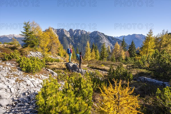 Two hikers