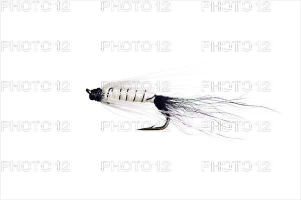 Fishing Fly isolated against a white background