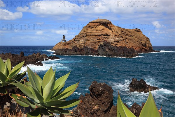 Porto Moniz on the northwest coast of the island