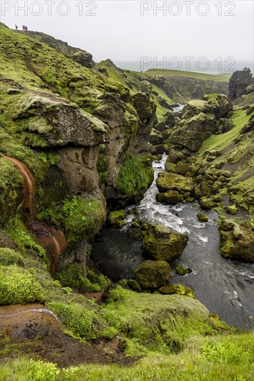 Rugged moss-covered canyon