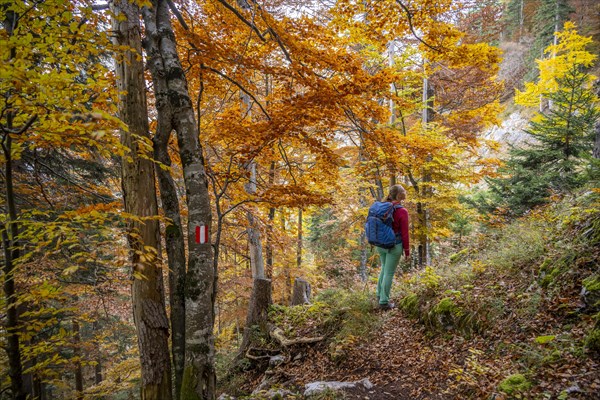 Woman on hiking trail