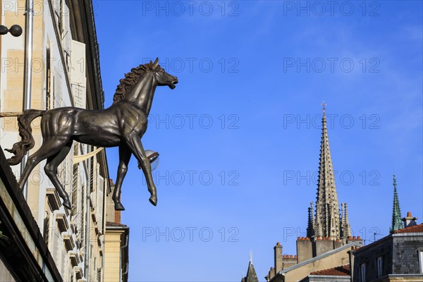 Sculpture Horse on a facade in Rue la Fayette