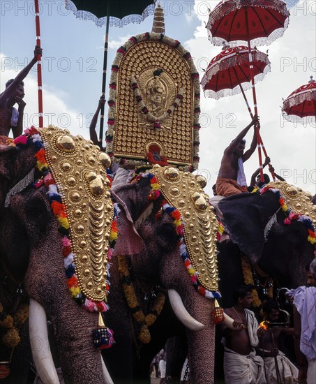 Caparisoned elephants in Pooram festival