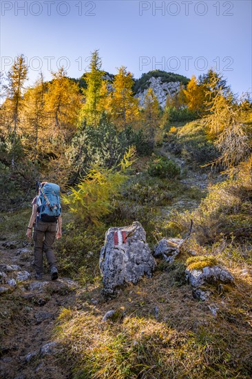 Hikers in autumn