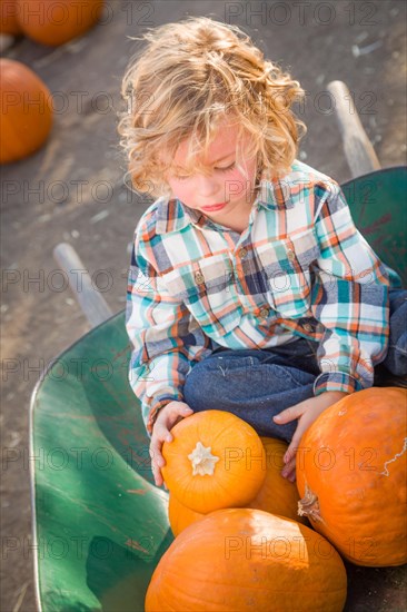 Little boy sitting in a wheelbarrow next to his pumpkins in a rustic ranch setting at the pumpkin patch