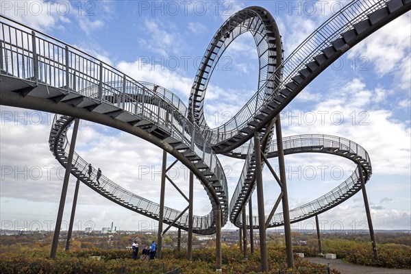 Tiger and Turtle