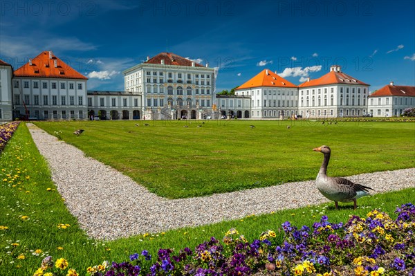 Goose in garden lawn in front of the Nymphenburg Palace