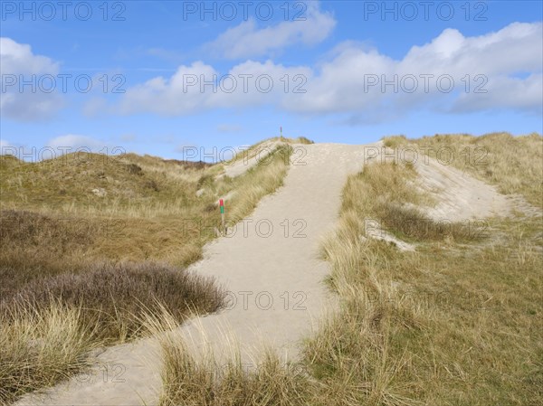 Uebergang zum Strand