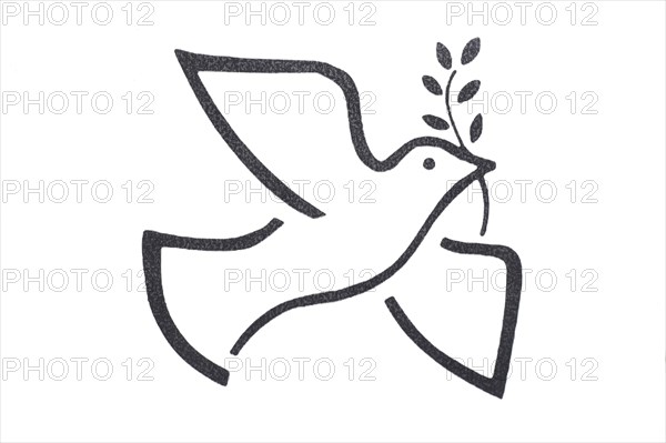 Peace dove