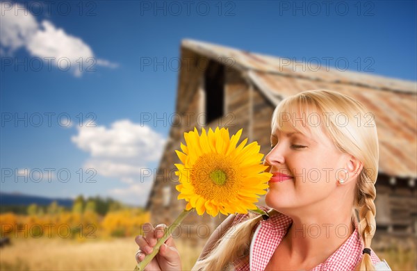 Beautiful caucasian young woman holding sunflower in front of rustic barn in the country
