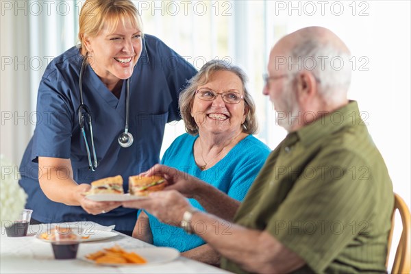 Female doctor or nurse serving senior adult couple sandwiches at table