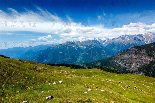 Spring meadow in Kullu valley in Himalaya mountains. Himachal Pradesh