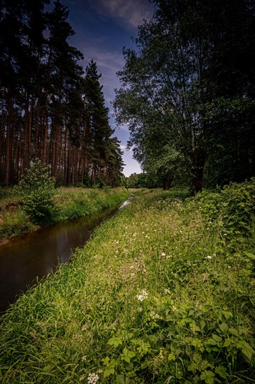 Long exposure of the river Wietze in Langenhagen in the region of Hannover