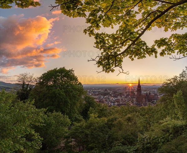 Freiburg