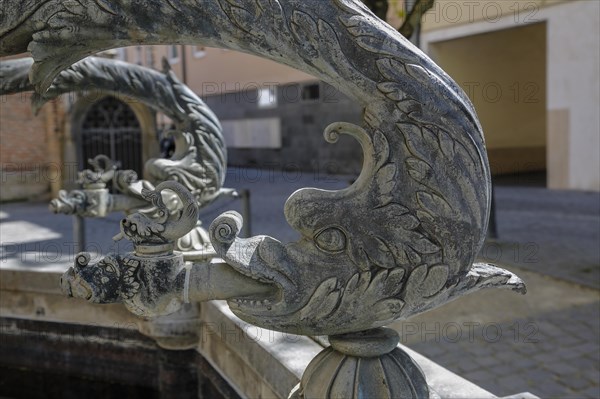 Dolphin fountain on Muensterplatz by Wolfgang Neithard