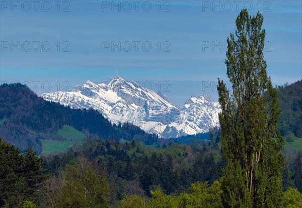 Snow-covered mountain range in the distance