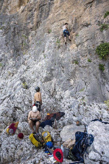 Young man belays a climber on lead