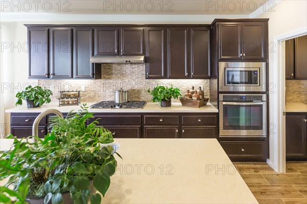 Beautiful kitchen interior with dark cabinets