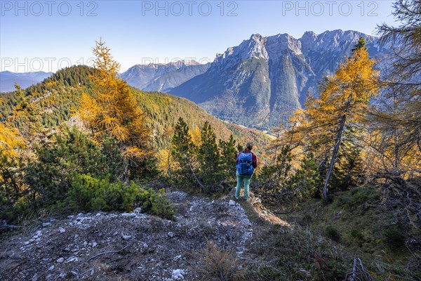 Hikers on a hiking trail