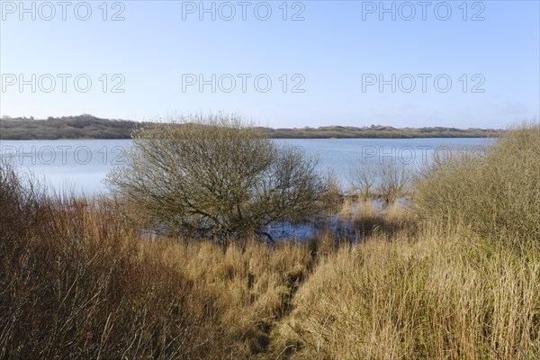 Hammersee