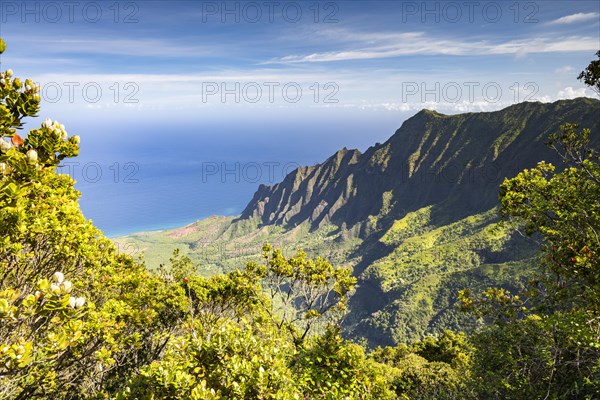 Blick vom Kalalau Lookout ins Kalalau Valley