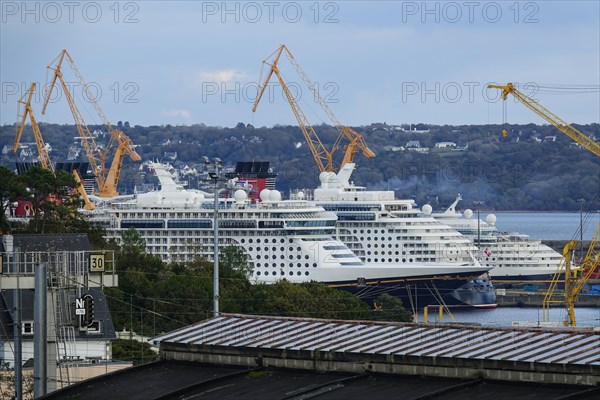 Disney Cruise Line's Disney Dream