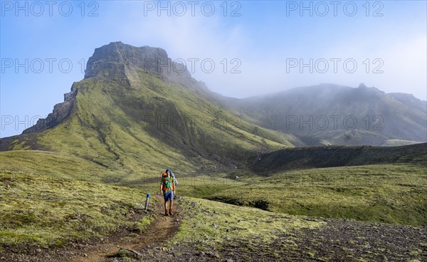 Hikers on trail through moss-covered mountain landscape