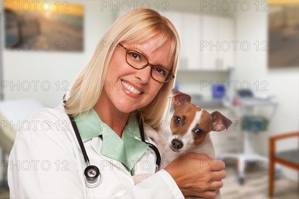 Female doctor veterinarian with small puppy in office