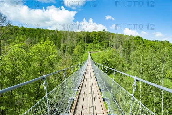 Haengeseilbruecke ueber das Baerental