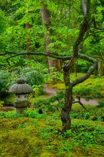 Stone lantern in Japanese garden