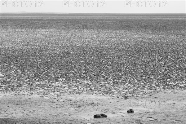 Ebbe im Nationalpark Wattenmeer