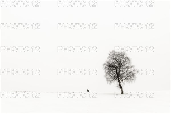 Einsame Frau knieend an Marterl mit Baum in Winterlandschaft